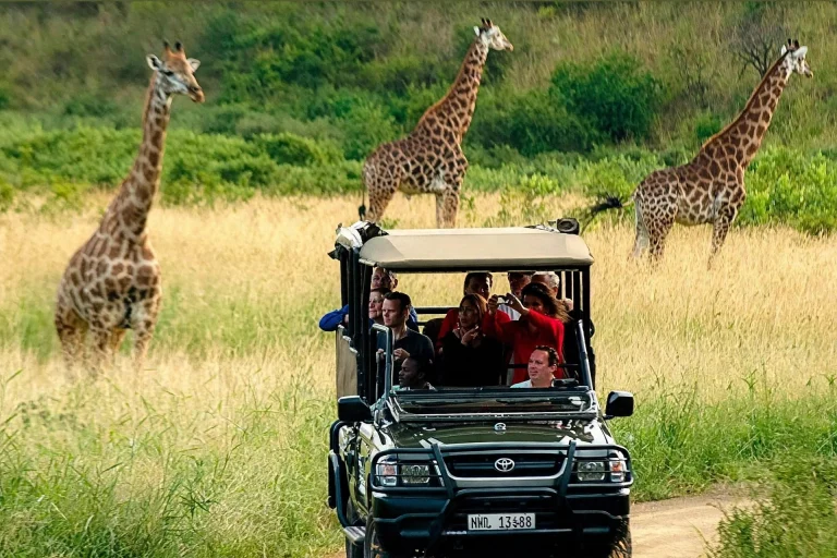 Aquila Safari - Transportation Only